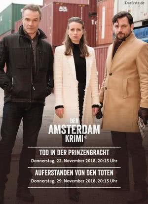 Der Amsterdam Krimi Season 2海报封面图