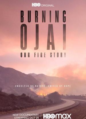 Burning Ojai: Our Fire Story海报封面图