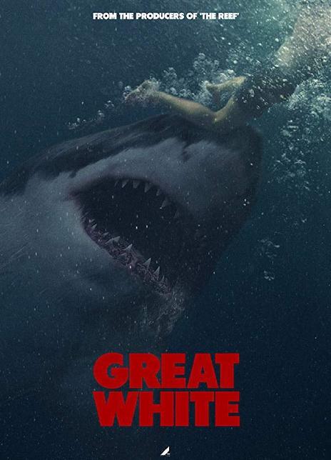 大浪白鲨 2020澳大利亚惊悚 HD1080P 迅雷下载