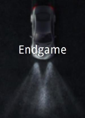 Endgame海报封面图