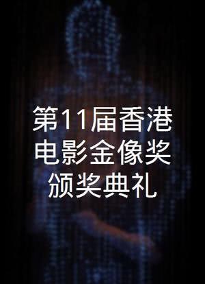 第11届香港电影金像奖颁奖典礼海报封面图