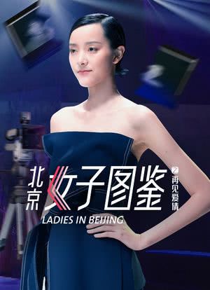 北京女子图鉴之再见爱情海报封面图