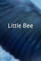 赖舒·彼查 Little Bee