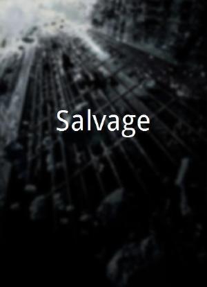 Salvage海报封面图