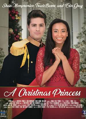 圣诞公主海报封面图