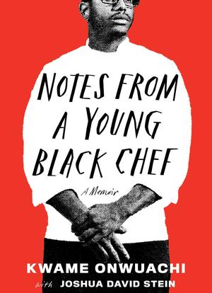 Notes from a Young Black Chef海报封面图