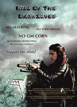 Rise of the Darkelves海报封面图
