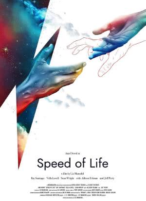 生命的速度海报封面图