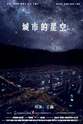 王鑫 城市的星空