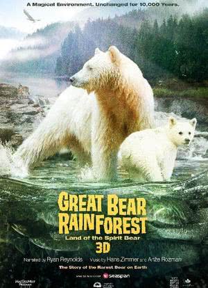 大熊雨林海报封面图
