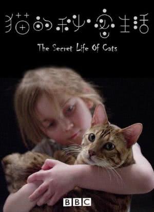 猫的秘密生活海报封面图