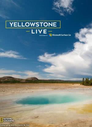 Yellowstone Live Season 1海报封面图