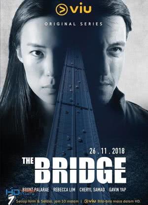 边桥谜案海报封面图