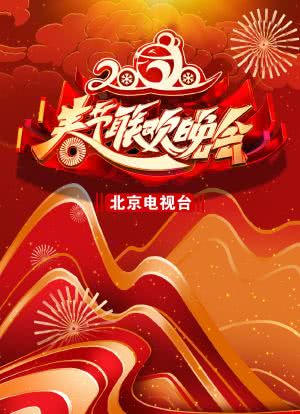 2020年北京卫视春节联欢晚会海报封面图