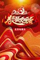 VOGUE 5 2020年北京卫视春节联欢晚会