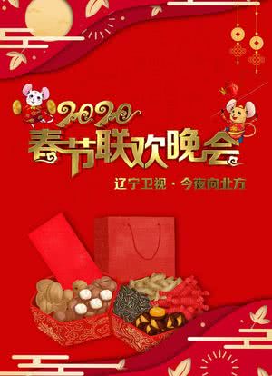 2020年辽宁卫视春节联欢晚会海报封面图