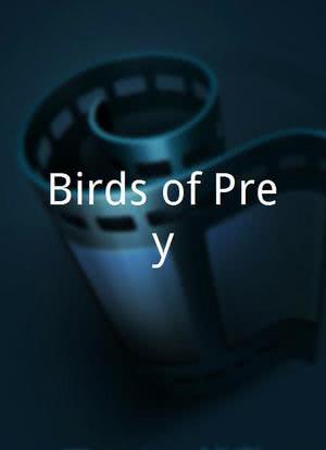Birds of Prey海报封面图
