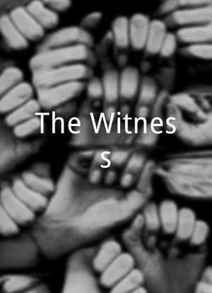 The Witness海报封面图