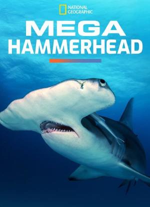 Mega Hammerhead海报封面图