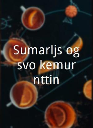 Sumarljós og svo kemur nóttin海报封面图