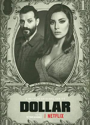 疯狂的美元海报封面图