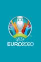 鲁德·范·尼斯特鲁伊 2020欧洲杯足球赛