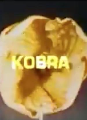 Kobra海报封面图