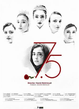 七个女人半个故事海报封面图