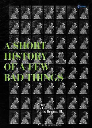 A Short History of a Few Bad Things海报封面图