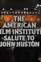 比利·皮尔逊 The American Film Institute Salute to John Huston