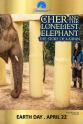 Harry Rabin Cher and the Loneliest Elephant