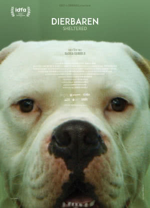 动物之家海报封面图