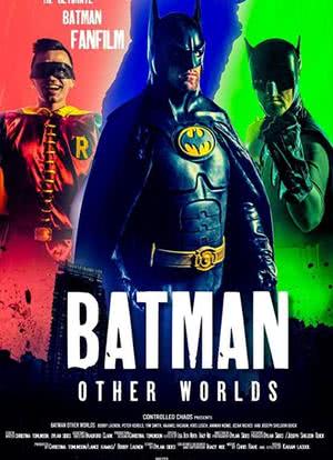 蝙蝠侠:另一个世界海报封面图