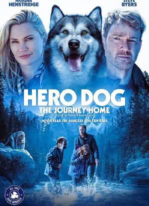 Hero Dog: The Journey Home海报封面图