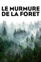 Petra Höfer Unsere Wälder: Die Sprache der Bäume