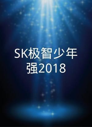 SK极智少年强2018海报封面图