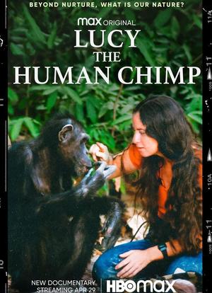 Lucy, the Human Chimp海报封面图