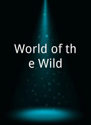 World of the Wild海报封面图