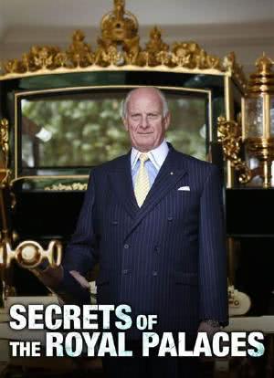 英国皇家宫殿的秘密 第一季海报封面图