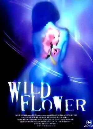 Wildflower海报封面图