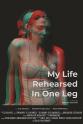Radu Romaniuc My Life Rehearsed in One Leg