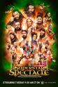 Yuvraj Dhesi WWE Superstar Spectacle