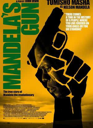 Mandela's Gun海报封面图