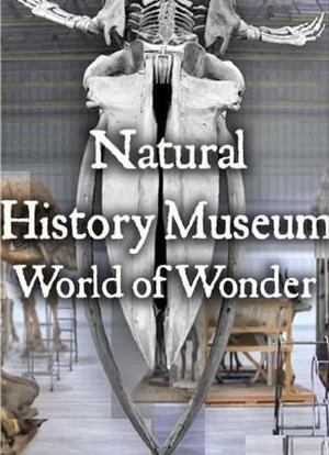 英国自然历史博物馆：神奇世界 第一季海报封面图