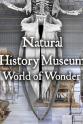 Luke Korzun Martin 英国自然历史博物馆：神奇世界 第一季