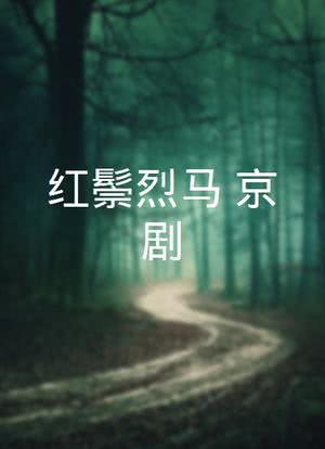 红鬃烈马（京剧）海报封面图