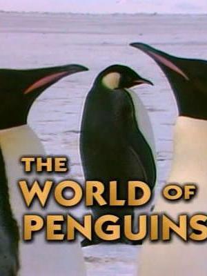 世界上的企鹅海报封面图