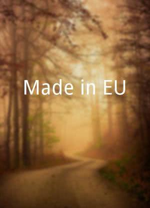 Made in EU海报封面图