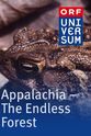Alfred Vendl Appalachia: The Endless Forest