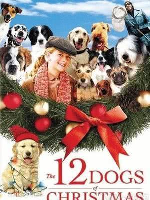 圣诞前的十二只小狗海报封面图